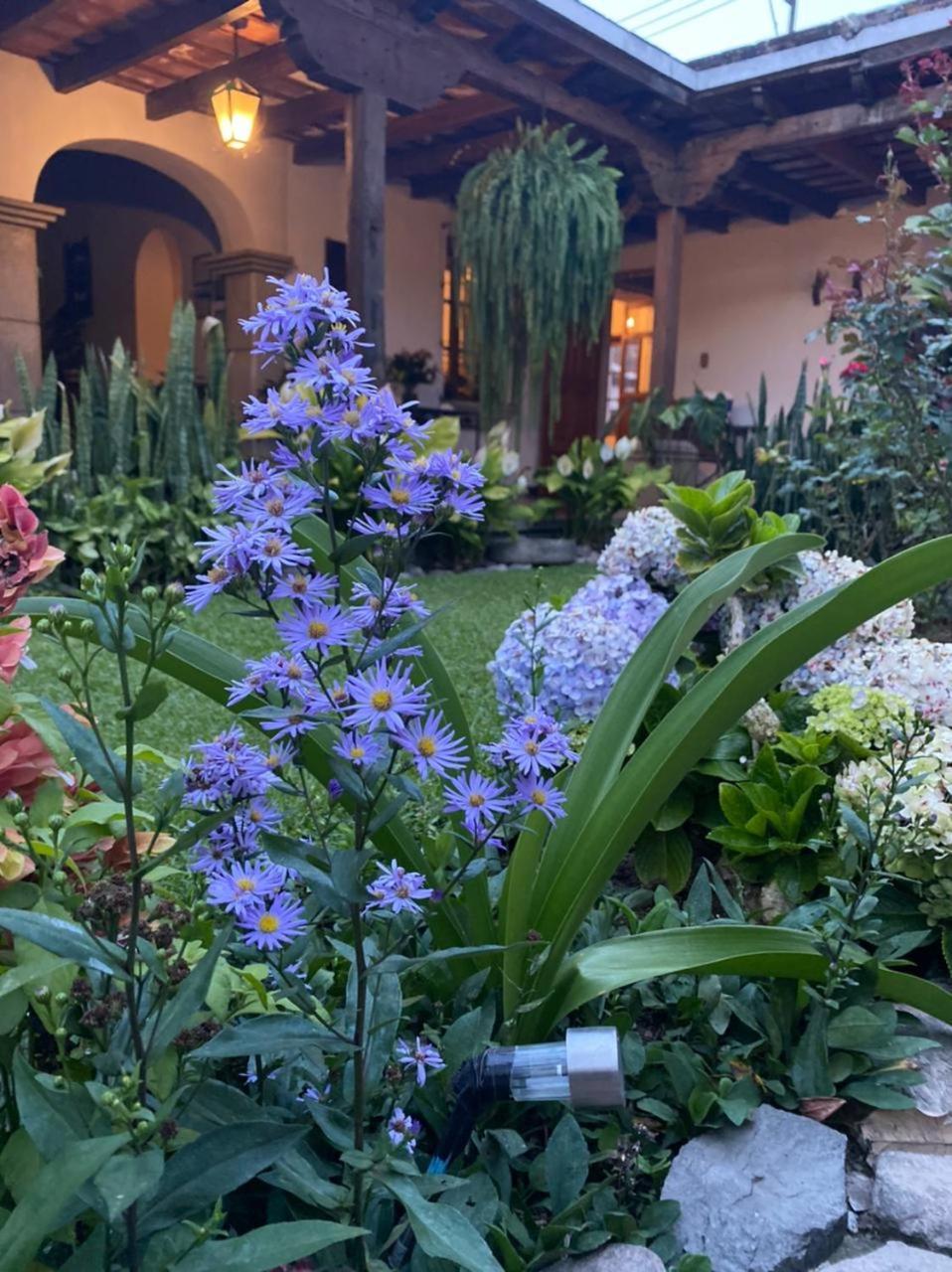 אנטיגואה גואטמלה Hostal San Nicolas מראה חיצוני תמונה