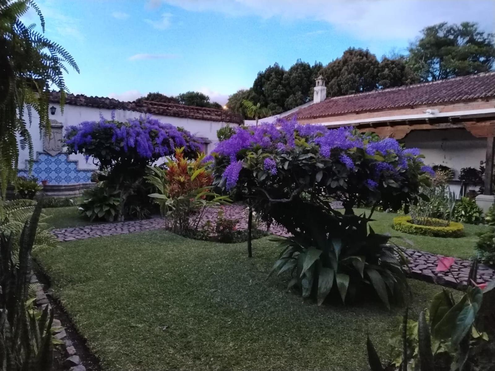 אנטיגואה גואטמלה Hostal San Nicolas מראה חיצוני תמונה
