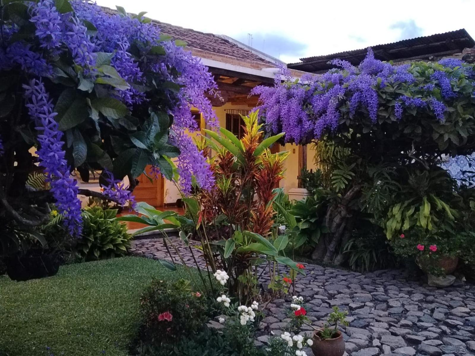 אנטיגואה גואטמלה Hostal San Nicolas מראה חיצוני תמונה