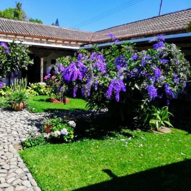 אנטיגואה גואטמלה Hostal San Nicolas מראה חיצוני תמונה