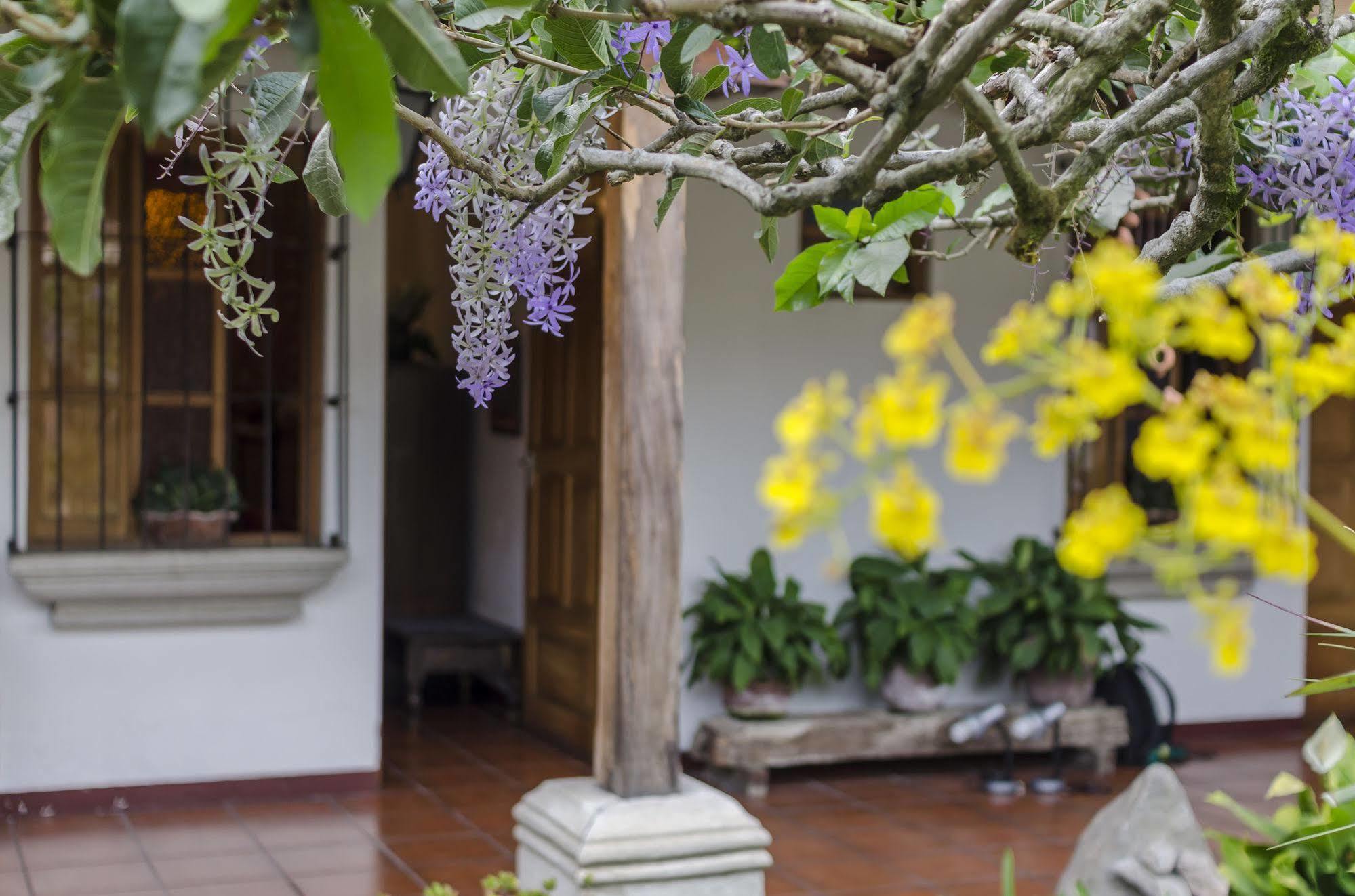אנטיגואה גואטמלה Hostal San Nicolas מראה חיצוני תמונה