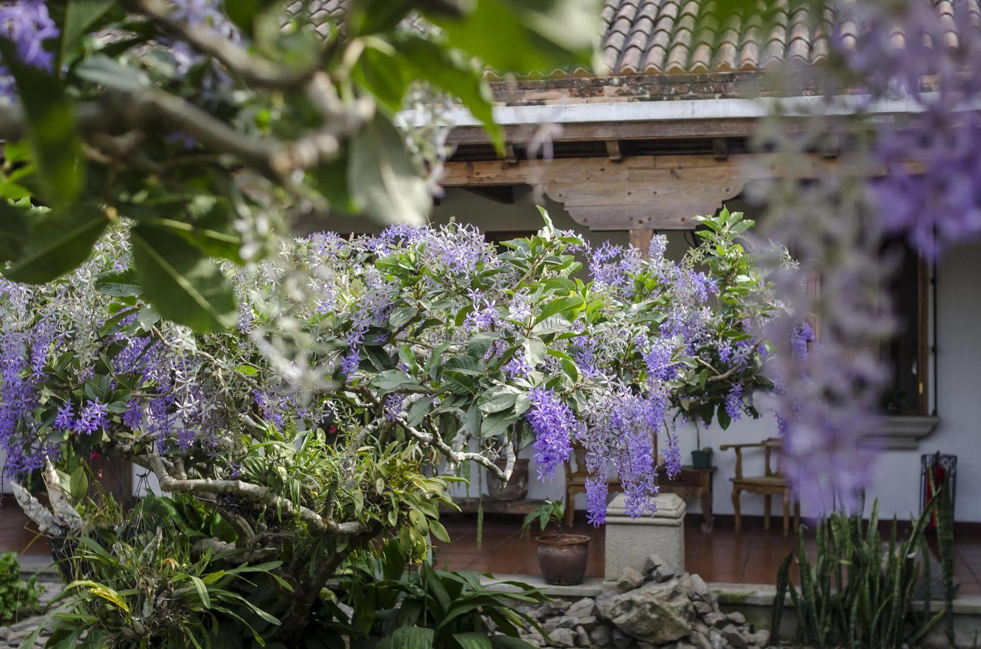 אנטיגואה גואטמלה Hostal San Nicolas מראה חיצוני תמונה